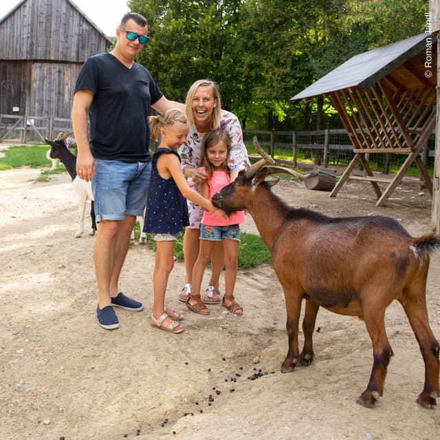 Eine Zeitreise zu den Ur-Ur-Großeltern