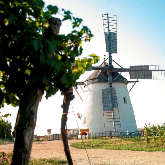 Geschichten aus luftiger Höhe