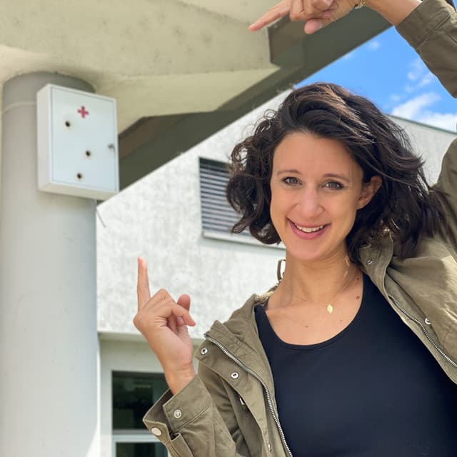 Vogelgezwitscher überall