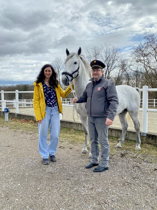 Im Schmidatal 3: Hoch zu Ross